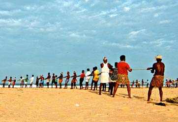 Goa & South India Tour, Goa