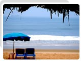 Candolim Beach in Goa